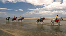 Costa Rica-Guanacaste-La Posada Beach Escape